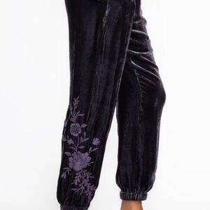 Johnny Was Velvet Jogger Pant deep purple